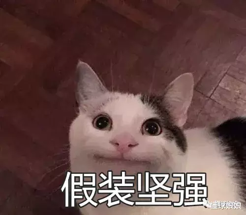 #张常宁#终于被解雇了！这种水平居然能混两个赛季，也算是奇迹啊