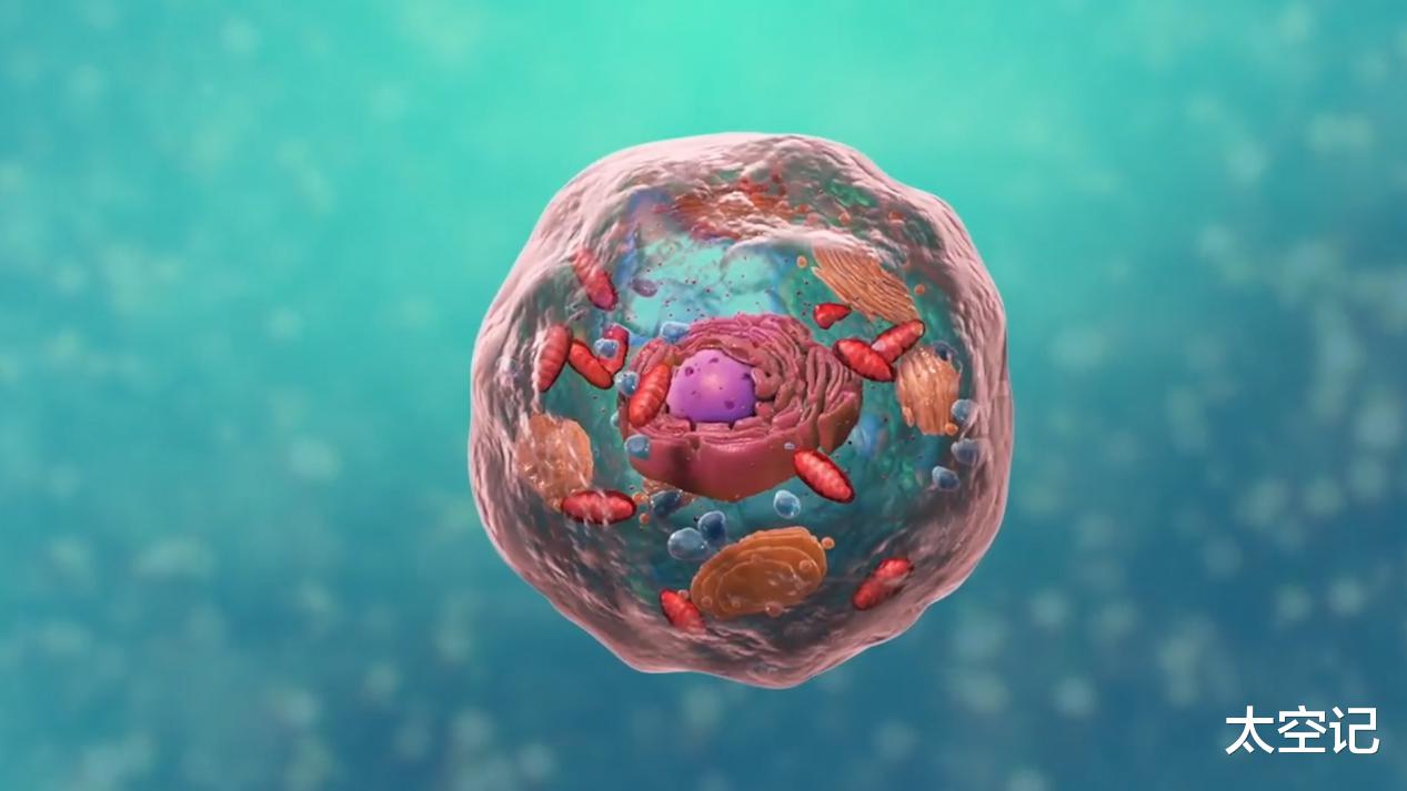 『外星生命』外星生命是硅基的吗？地球对硅基生命来说可能如“地狱星球”一般