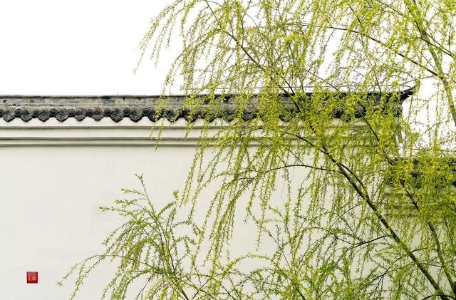 「曾巩」除了贺知章的《咏柳》，曾巩这首《咏柳》也值得一读