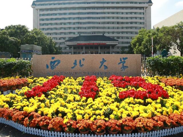 东北大学@志愿填报，东北大学、东南大学、西南大学、西北大学、中南大学该怎么选