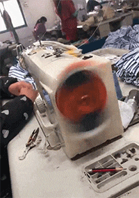 |“钓鱼的时候飞到我手上的，第一次见，谁知道这个是什么？”哈哈哈哈