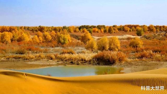 塔里木盆地@改造塔克拉玛干沙漠，可再造一个华北平原！然而这是个无解的难题
