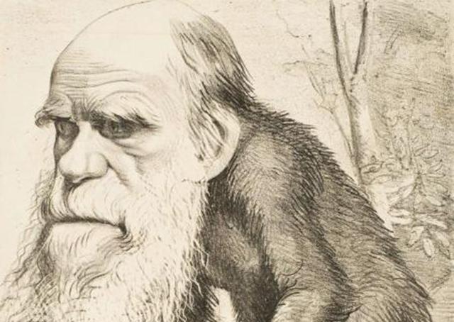 ##科学家将一岁孩子与猩猩养在一起，9个月后突然中止，发现了什么