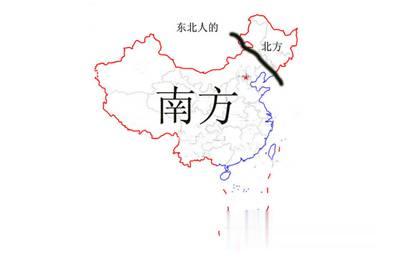 大白菜|看一次笑一次！你家买白菜了吗？