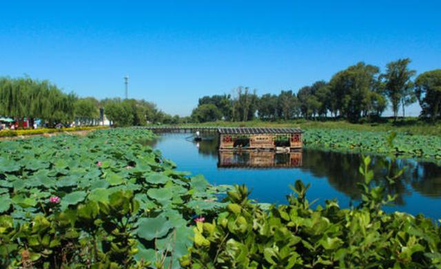 白洋淀：曾经“痛失人心”景区，如今“洗心革面”，希望能够重俘游客芳心