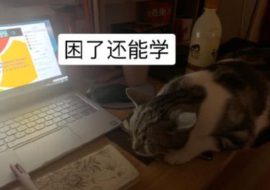 「高校」教育厅“最新”通知,高校4月25日开始返校,可算是终于等来了