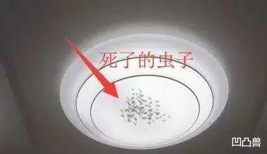 「」塞了1000大洋，老师傅才告知：这16个易错装修，行外人无一幸免