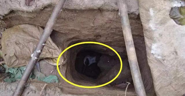 文物|为何盗墓贼都活不长，难道真的是报应吗？其实是有科学依据的