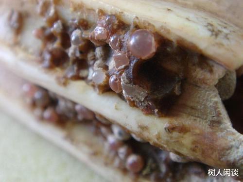 |这次考古发现轰动了全国考古界，光出土的“舍利子”就有772粒