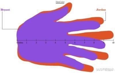 「迈克尔·乔丹」乔丹与科比谁的身体素质更强？对比后，乔丹无愧篮球之神