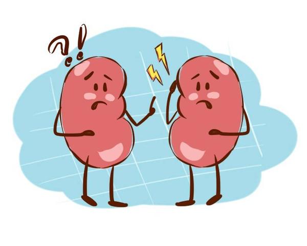 运动|你的肾好不好，教你看3个部位，若肾脏虚弱，4个方法可养肾