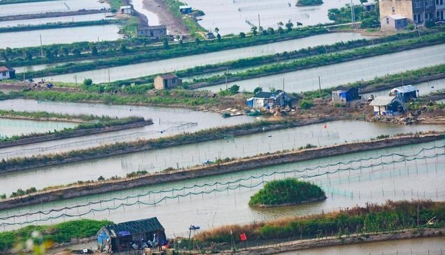 大学|大学最省钱的4类专业,学费便宜生活费少,很多人却嗤之以鼻