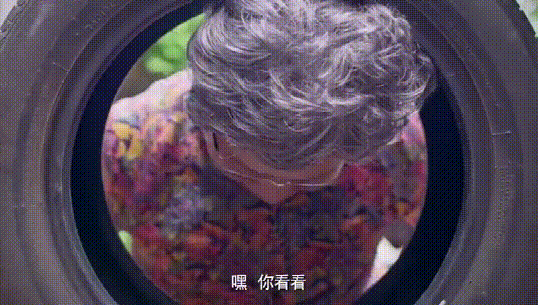 贵州|太凶猛！深圳新发现243个蚊子窝黑点，涉这几十个小区