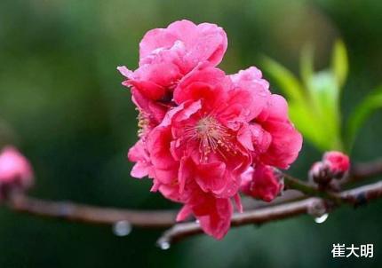 【生肖】7月份，喜事都来的3大生肖，旺桃花，发横财，事业好运一路狂飙！