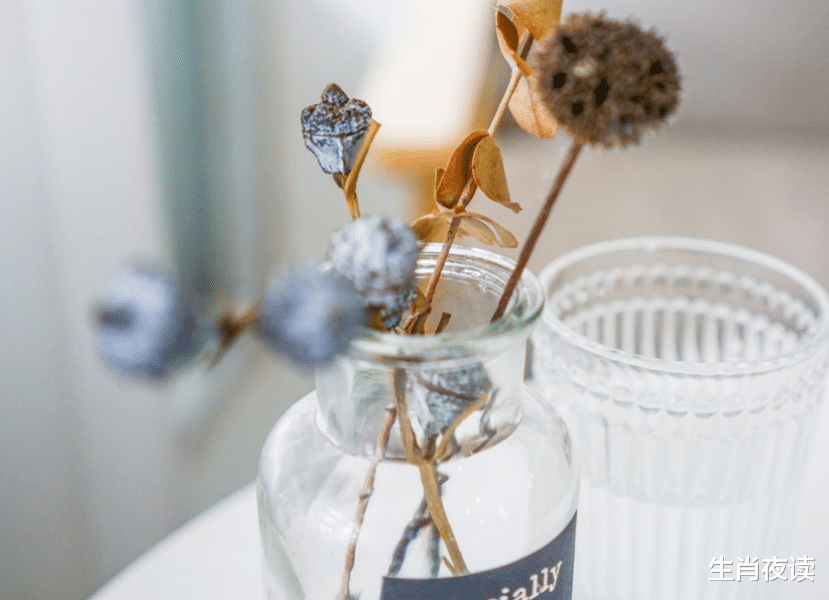 狮子座|11月中旬，对你的爱，戒不掉，忘不了，爱得撕心裂肺，深情不负