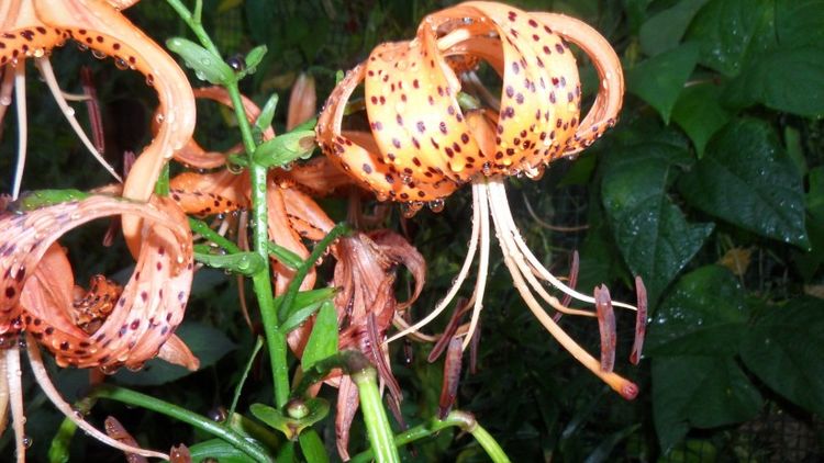 旧爱|9月份开始,马上走一波好运,让人高攀不上,全家不缺钱的4大生肖