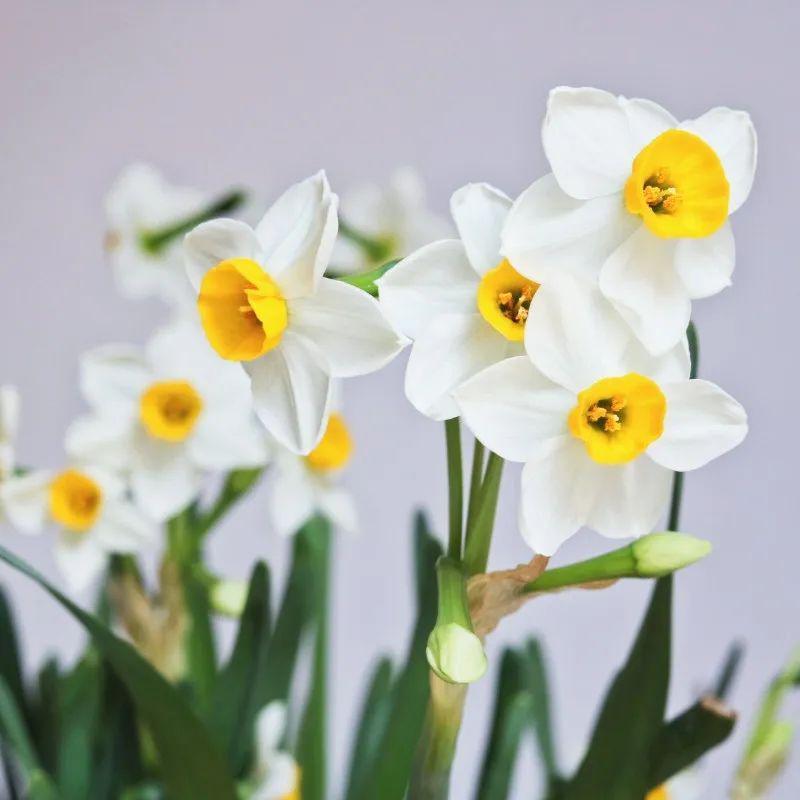 [狮子座]有3个星座女气质高贵，很优秀，但却不好接近