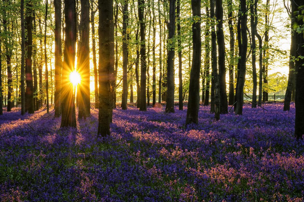 肝脏@春养肝等于养命，养生的人都在看“养肝4步”疏肝解郁、身心轻松