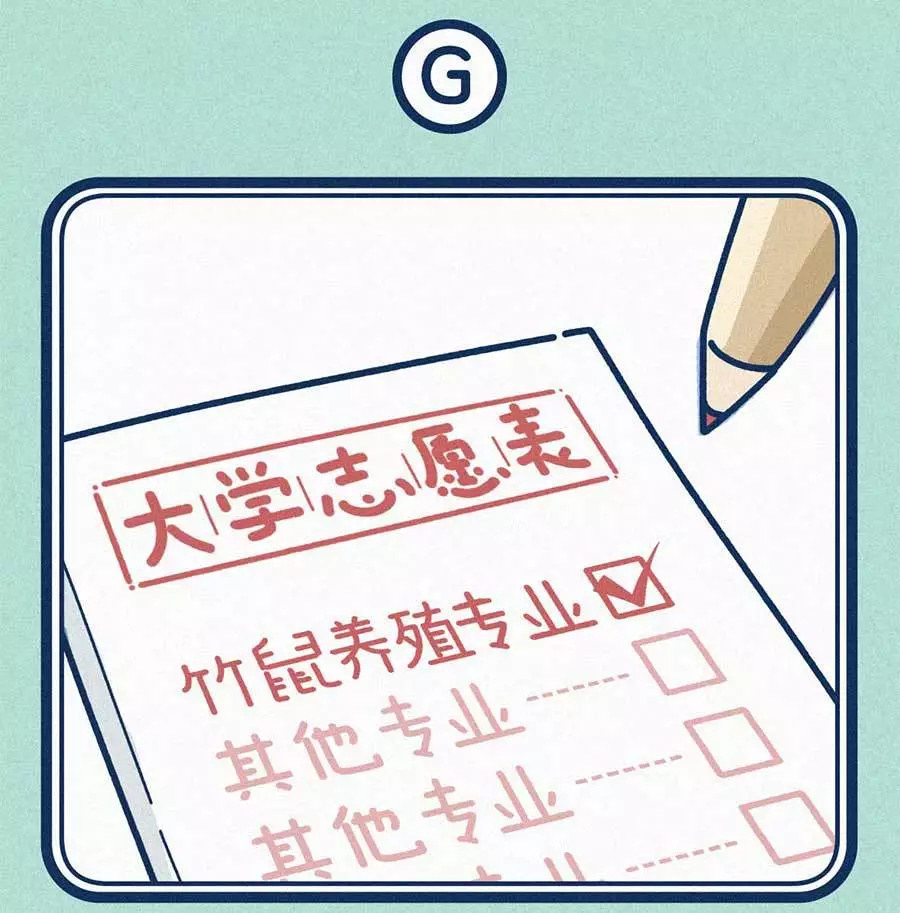 ：大学专业打脸现场：理想VS现实