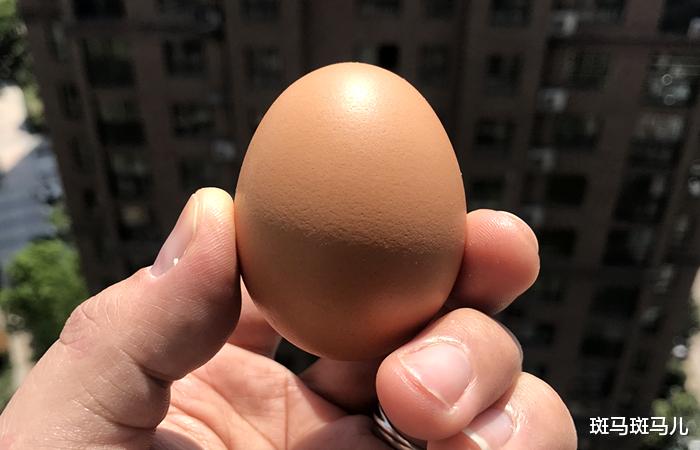 「张文宏」张文宏回应早餐“不能喝粥”，还详细解释了原因，网友：涨知识了