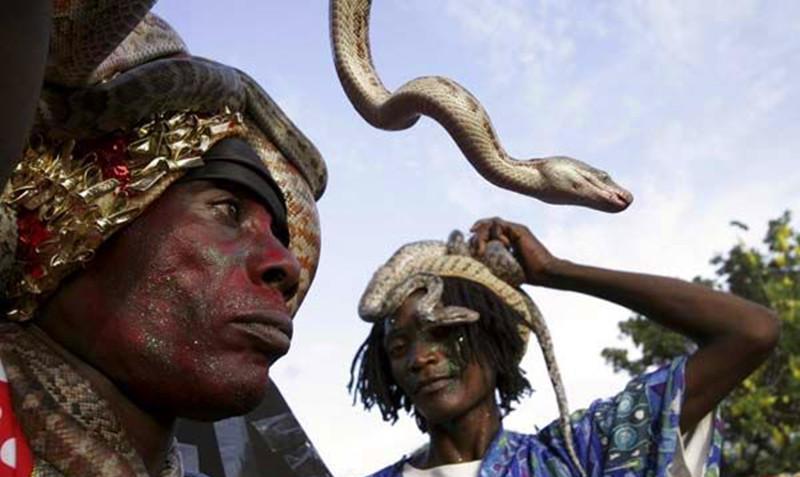 生物学家@为何我们会惧怕蛇?生物学家:这与远古人类有关