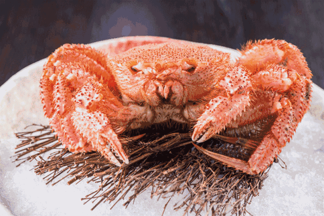 食材|全世界zui顶级的食材合集，你吃过几种，我竟然就吃过一种？