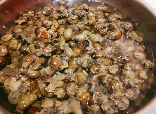 #田螺#炒田螺时，多数人第一步就做错了，学会这窍门，口感鲜嫩还不腥