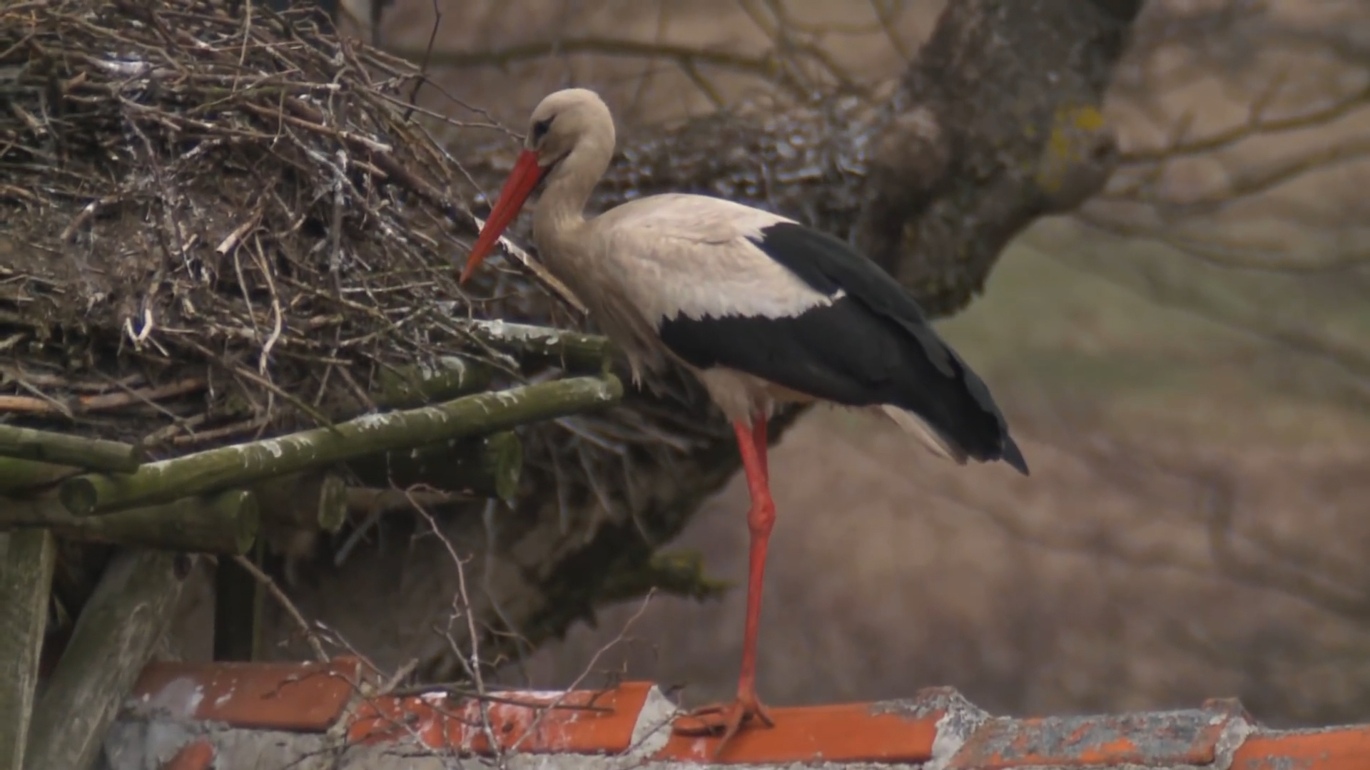[十二星座]出生在农历这几月份的人，一生多遇贵人，好运一波接一波
