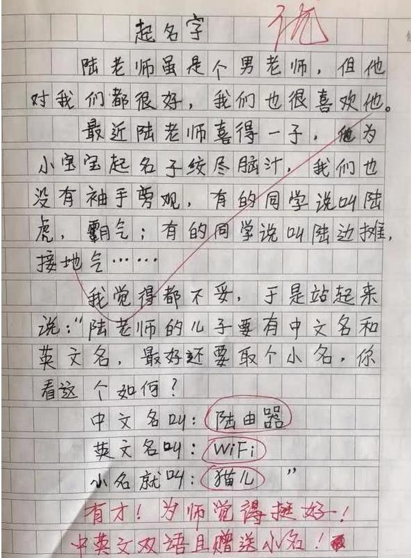 作文：小学生满分作文《我的理想》走红，老师批语抢镜：小心你同桌