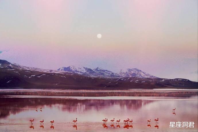 生肖@逆风而上,这三大星座往往脱颖而出