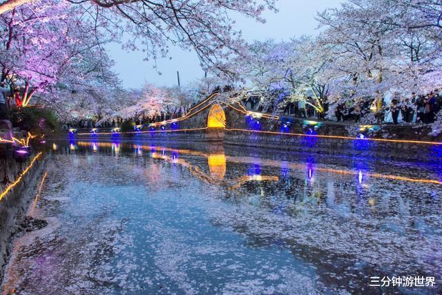 『乌镇』适合老年人旅游的4个地方，幽静古朴风景美，真正的“老年天堂”