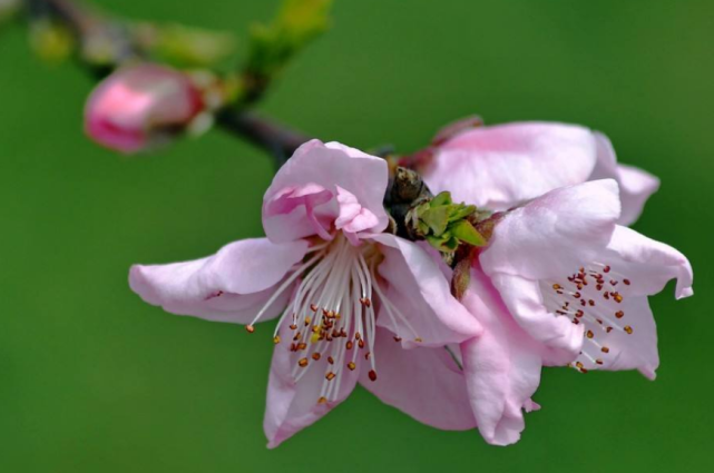 旧爱|9月26号开始大富大贵，大喜临门，时来运转，财运不断
