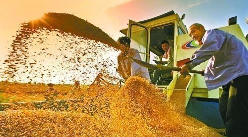 |为何美国宁愿赔钱，也要将粮食出口给中国？内行人道出其中真相！