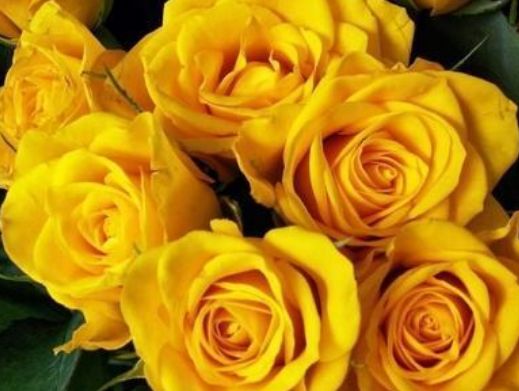 「生肖」吃软不吃硬的3种生肖女，丈夫只能宠着她们，不能责怪