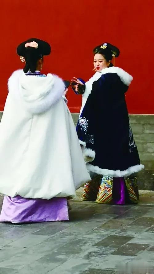 驾驶|斑斓秋色“上新啦”，一起来看600岁的故宫