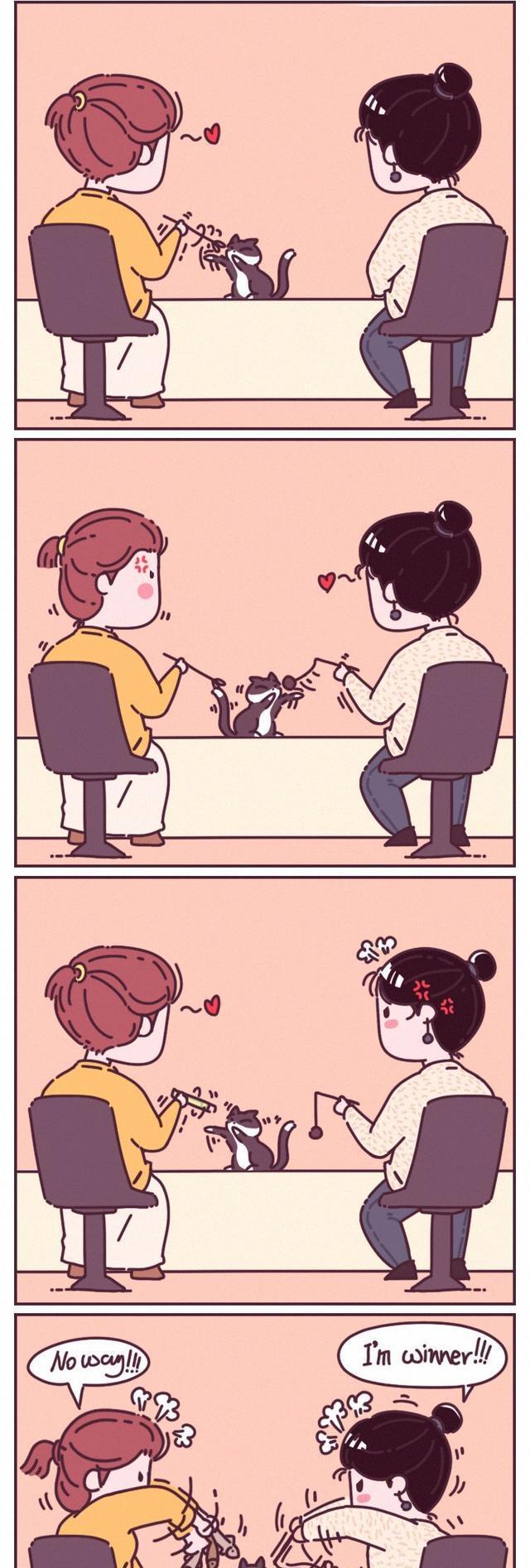 和猫一起上班是种什么体验？看完简直要笑尿了！