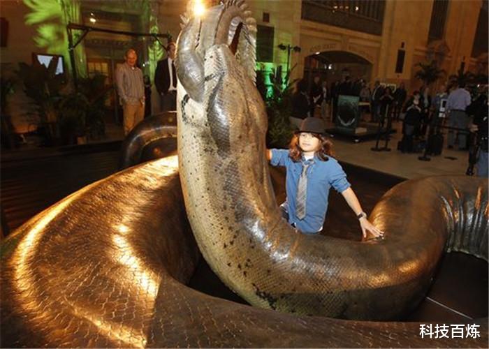 『泰坦蟒』蛇究竟能长多大？二战飞行员曾发现1条大蛇，泰坦蟒也不过如此！