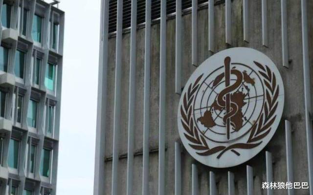 印度@果然有内幕！美国记者前往印度调查访问，其抗疫成果确实另有隐情