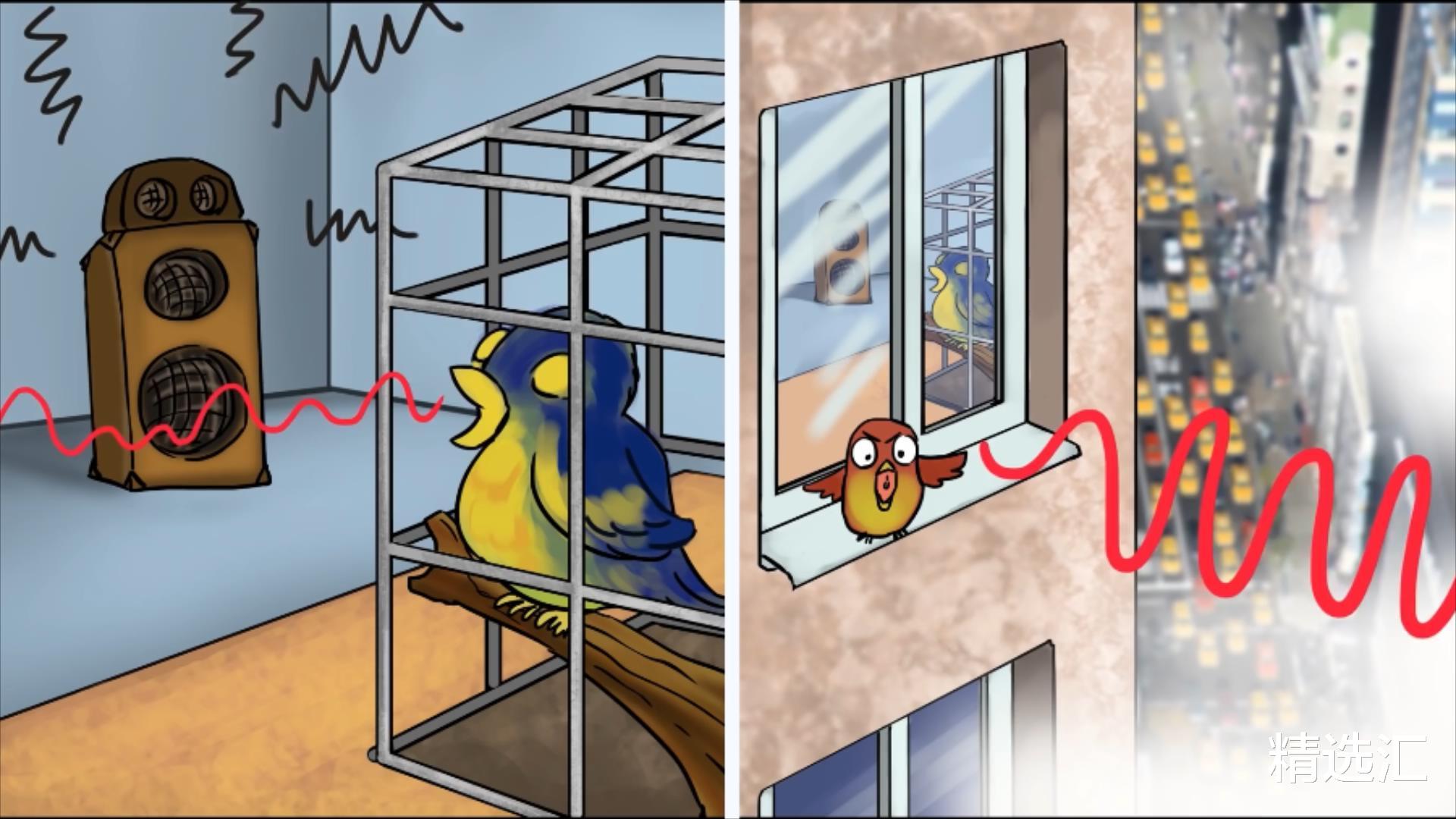 棕熊|被迫的进化：因为人类的影响，而不得不发生进化的5种动物