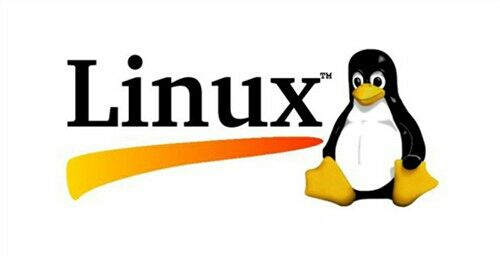|Linux 操作系统：开篇介绍和接口简介