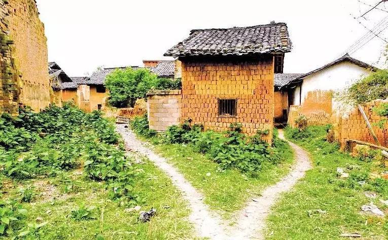 土地确权基本完成，今年农村房产证下发，这3种情况将拿不到