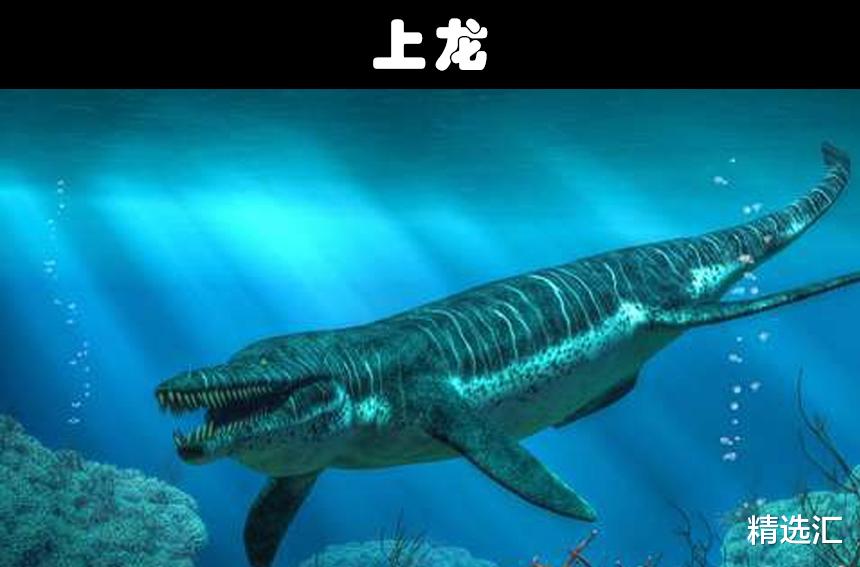 爬行动物|比巨齿鲨还要更加可怕的10个史前生物