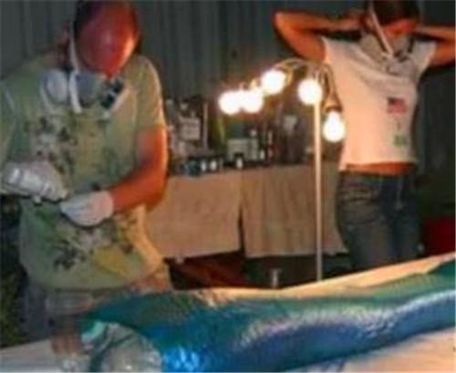 儒艮|1975年,中国海域抓到的那只真不是美人鱼吗?它究竟是什么物种?