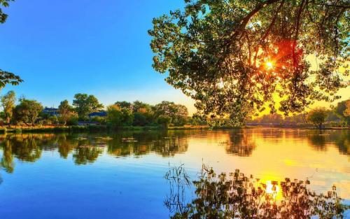 #白羊座#2020年，喜上眉梢，喜讯连连，钱财如雨，生活将会越来越好的星座