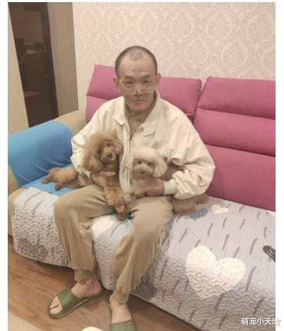 原嫌病犬是“瑕疵品”不给养！爸爸转性左搂右抱穿情侣装