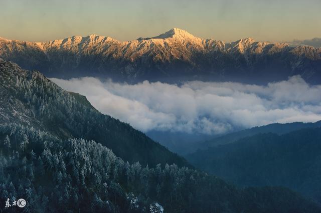 『生肖』恭喜您！5月底前喜鹊叫，家中必有大喜大福，大财小财滚滚3生肖