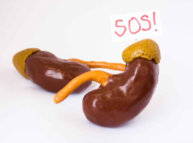 肾病|得了肾病，身体5个症状已经提醒你，有任何一个，都应及时检查