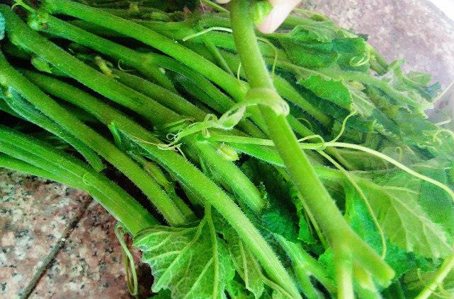炒南瓜■天热，这菜一买就是一捆，称“清肠冠军”，营养下饭，腰围变细了