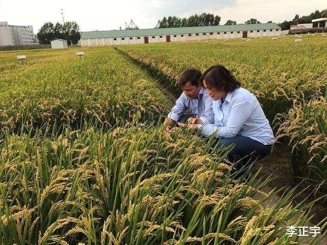 交易|四大粮商控制全球80%粮食交易，3家美国公司，布局中国多年