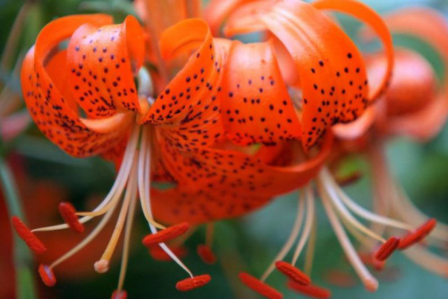 大学|今年十月份,3生肖赚钱好时机,阻碍减少机会变多,悄悄成土豪!